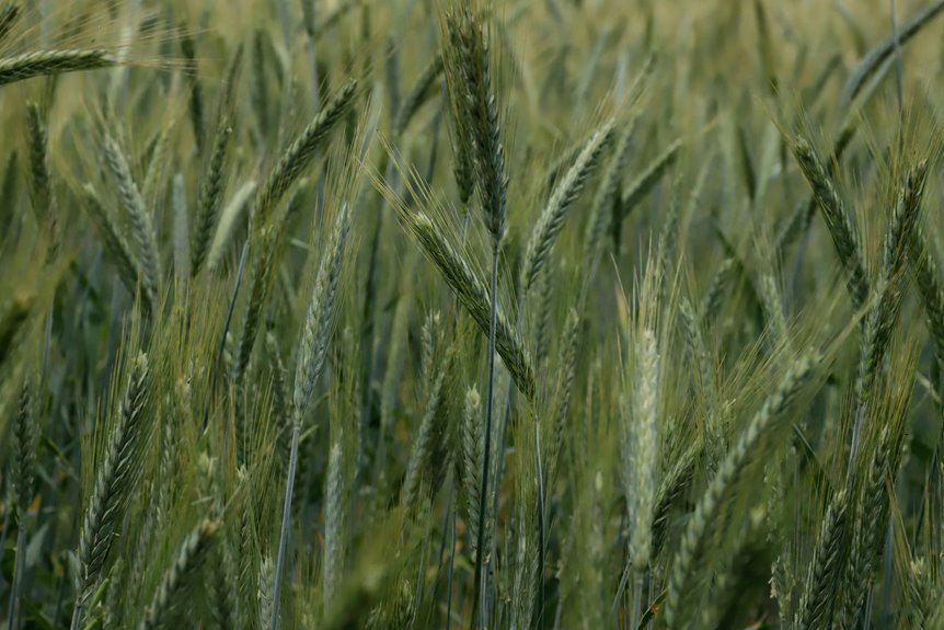 sbi life insurance code