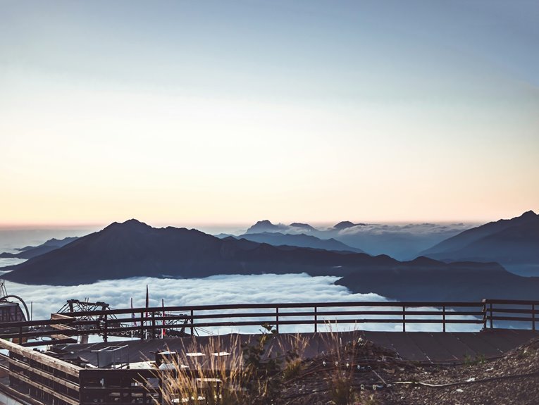 creative web platform branding